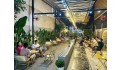 Bán Nhà Hẻm Xe Hơi 180m2_5.7x31 chỉ 8 tỷ nhỉnh thu nhập 60tr.th QL13 Hiệp Bình Phước Thủ Đức Hiếm Có.